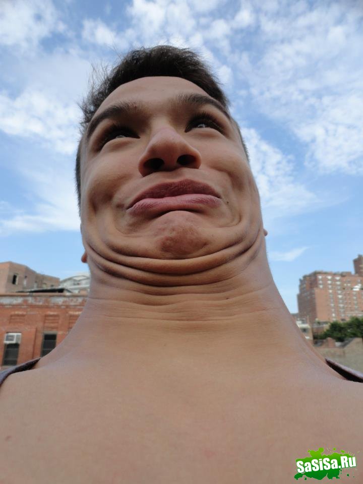  (   )