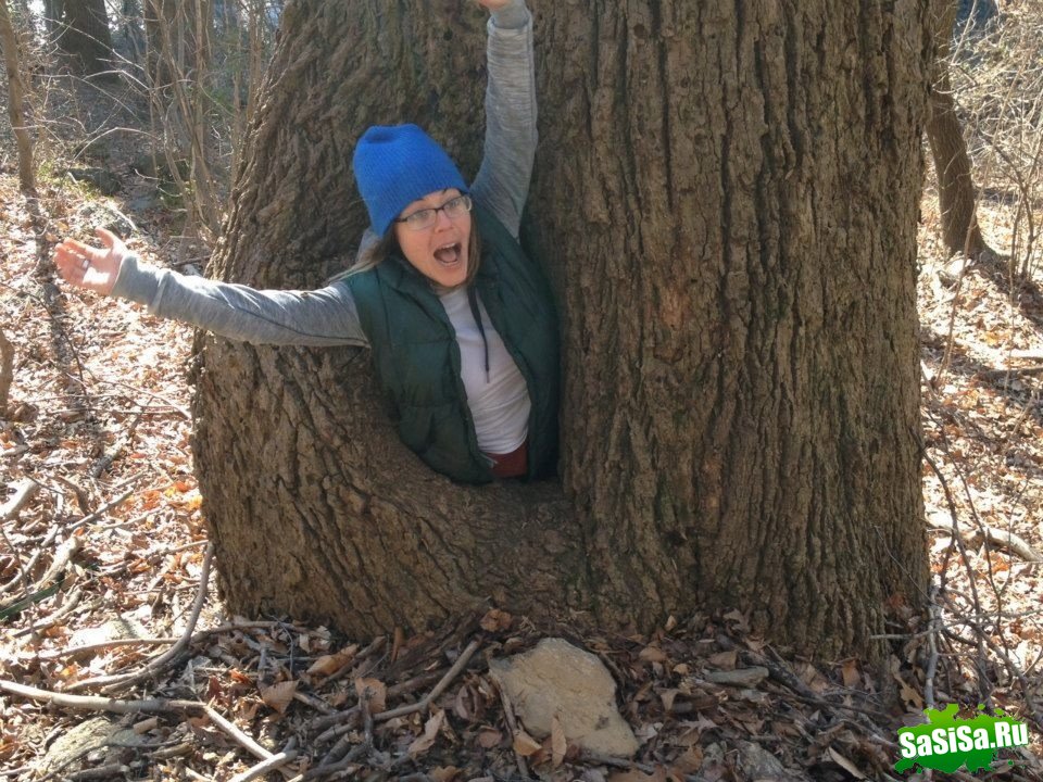  (   )