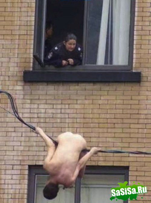  (   )