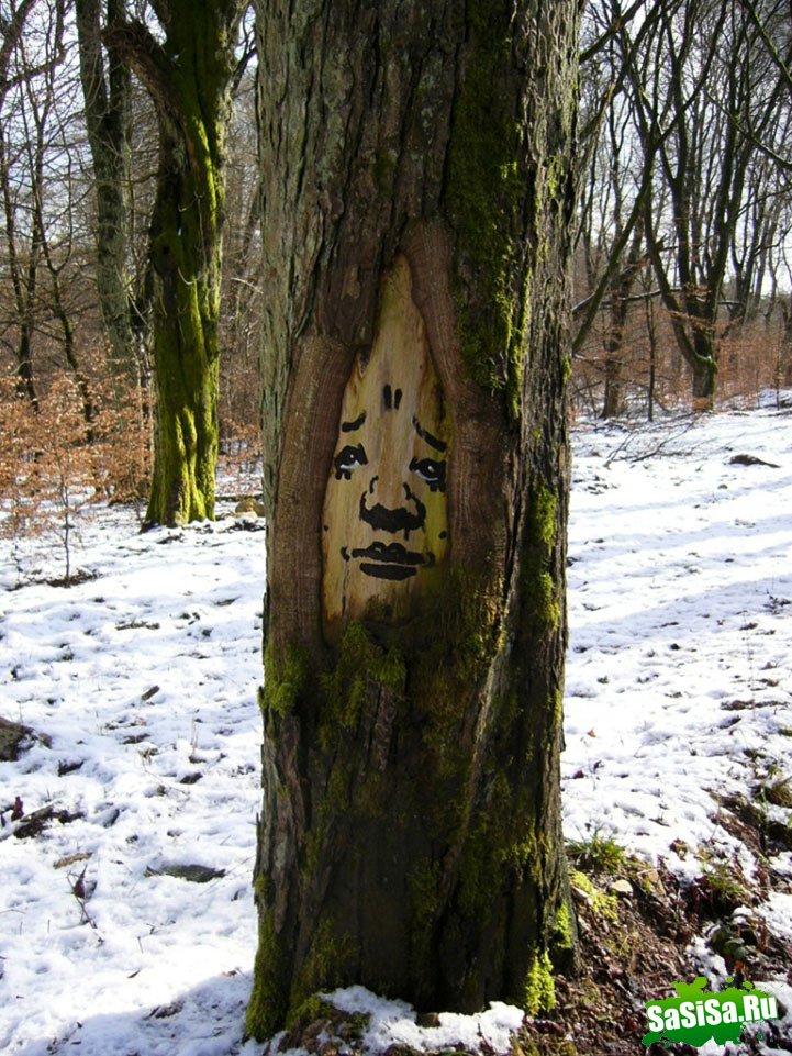 Забавные лица в лесу (14 фото)