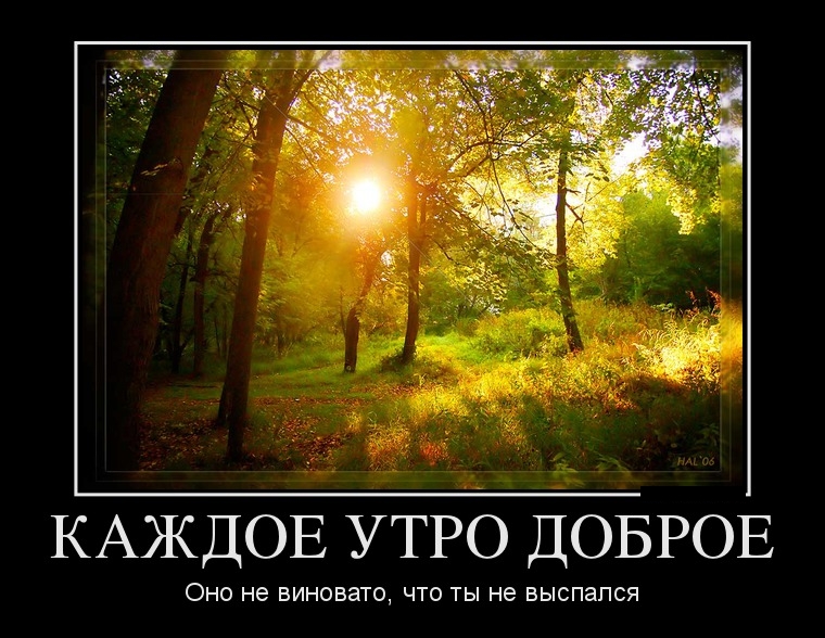 Демотиваторы четверга (29 фото)
