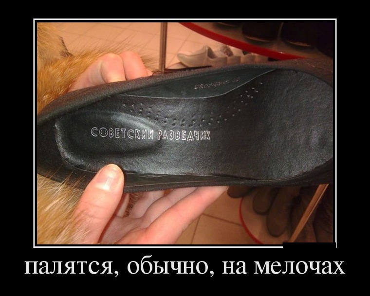 Демотиваторы четверга (29 фото)
