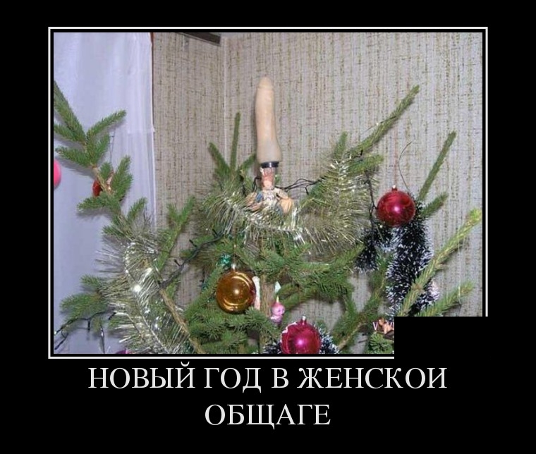 Демотиваторы четверга (29 фото)