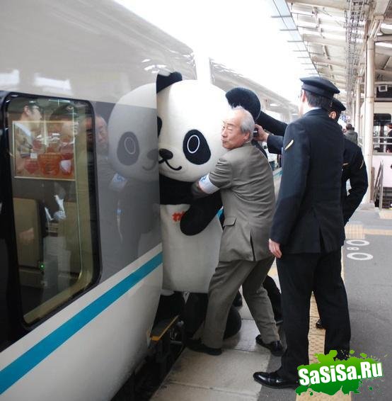 Фотоподборка (дальше в развёрнутом виде)