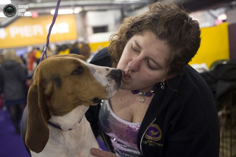 137-   Westminster Kennel Club (15 )