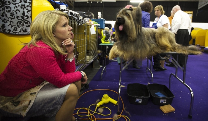 137-   Westminster Kennel Club (15 )