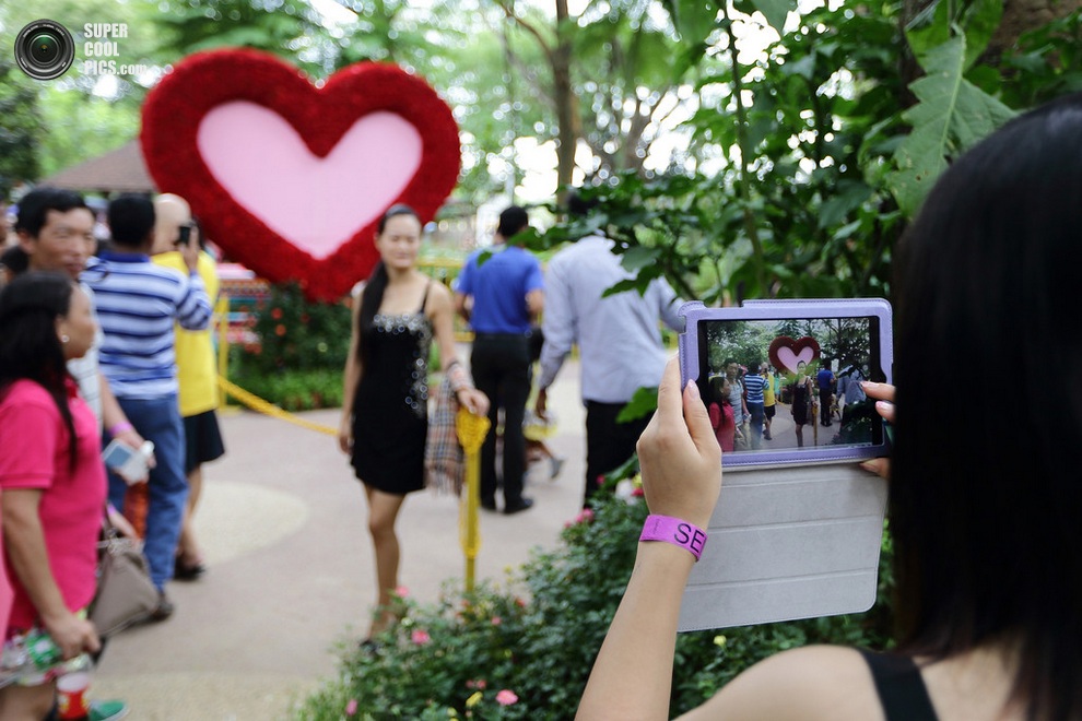   Sentosa Flowers 2013 (11 )