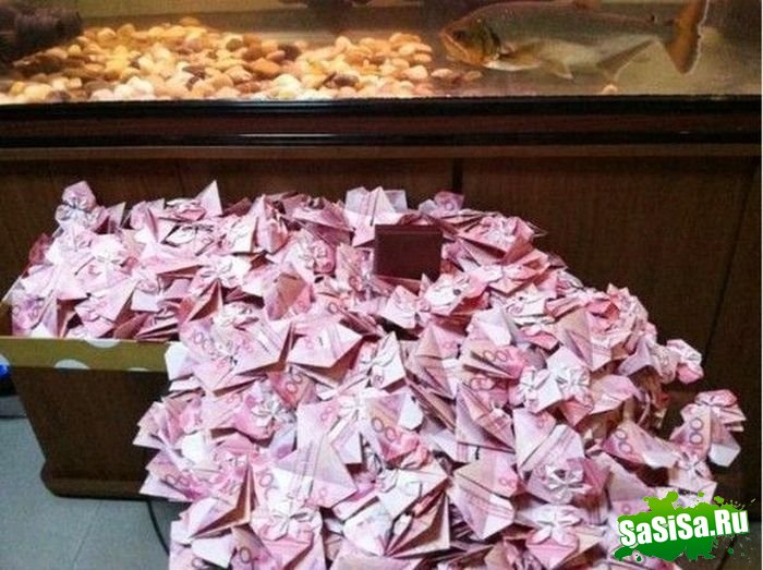 Необычное предложение руки и сердца (6 фото)