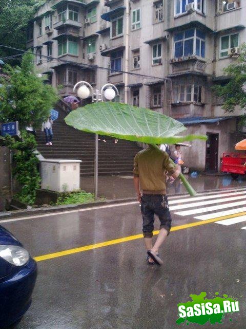 Фотоподборка (дальше в развёрнутом виде)