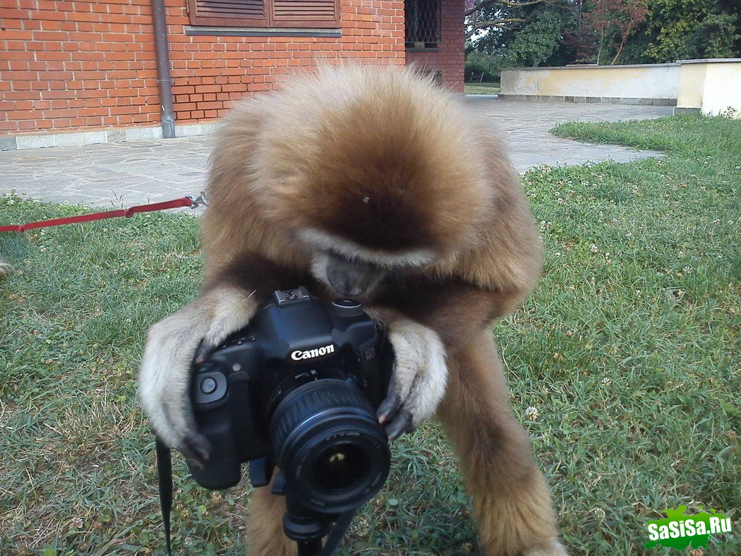 Фотоподборка (дальше в развёрнутом виде)