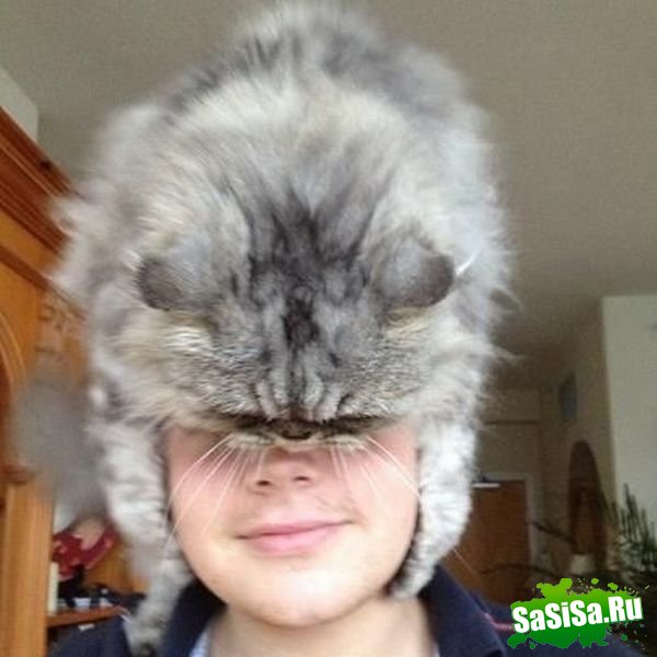Фотоподборка (дальше в развёрнутом виде)