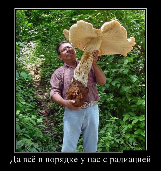 Демотиваторы понедельника (29 фото)