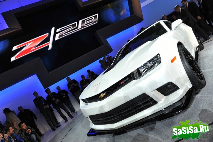   2013  - (20 )