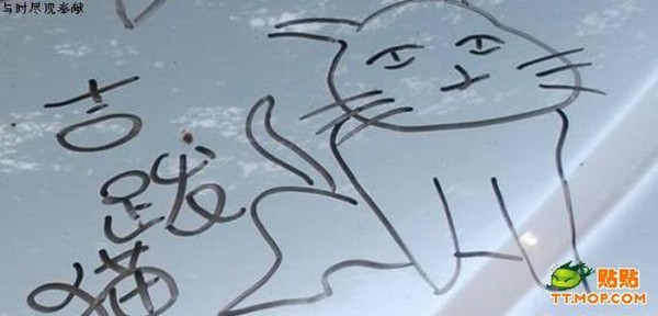 ������� ����� (7 ����)