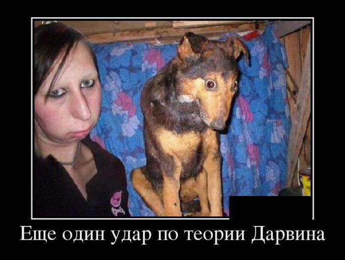 ������������ �������� (12 ����)