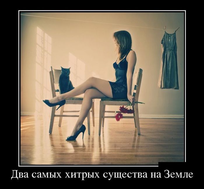 ������������ �������� (12 ����)