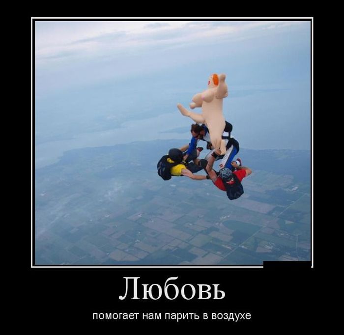 ������������ �������� (12 ����)
