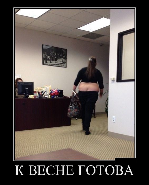 ������������ �������� (12 ����)