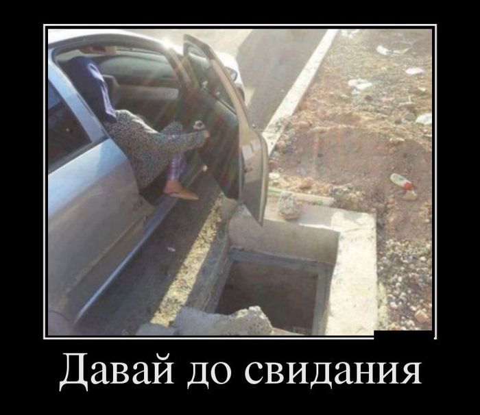 ������������ �������� (12 ����)