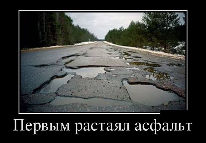 ������������ �������� (12 ����)