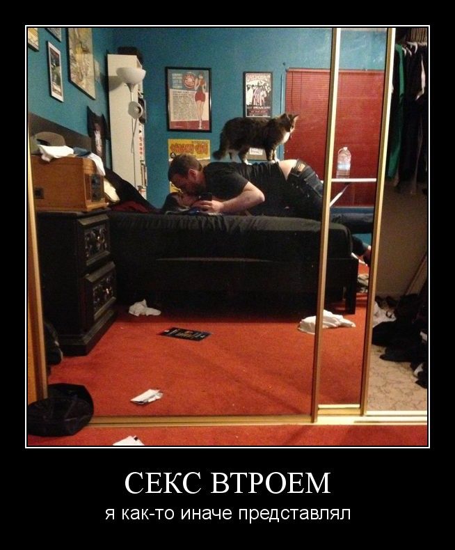 ������������ �������� (12 ����)