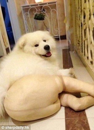   :    (8 )