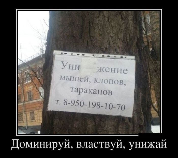 Демотиваторы пятницы (29 фото)
