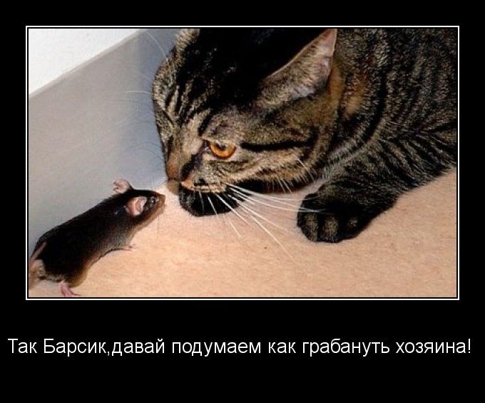 Демотиваторы пятницы (29 фото)