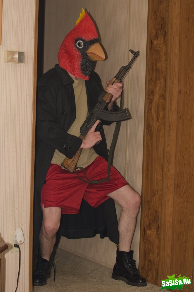  (   )