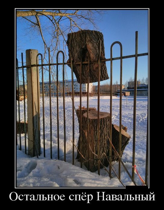 Демотиваторы четверга (29 фото)