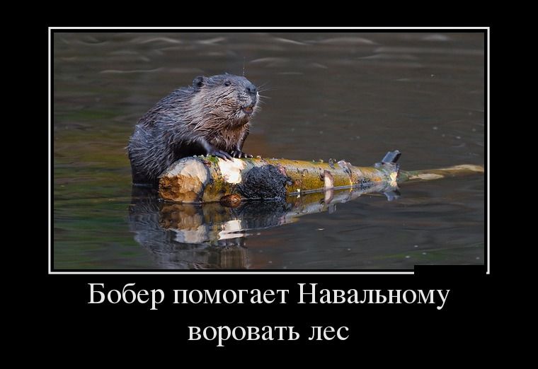 Демотиваторы четверга (29 фото)
