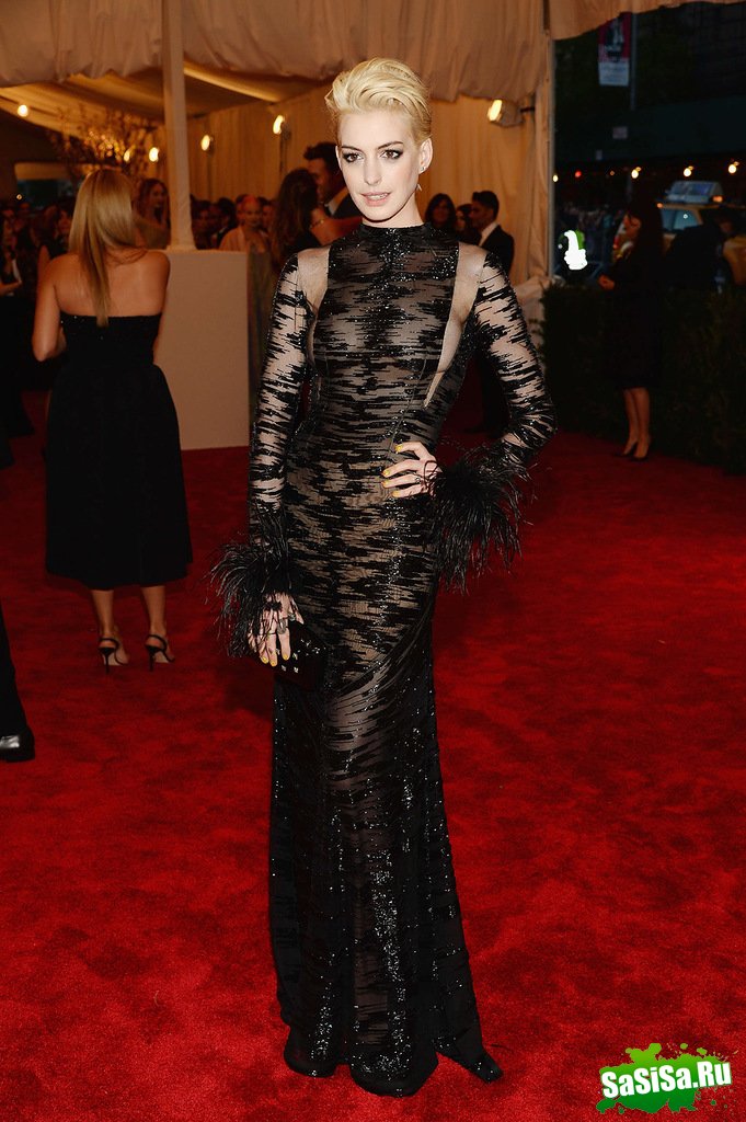    Met Ball 2013 (27 )