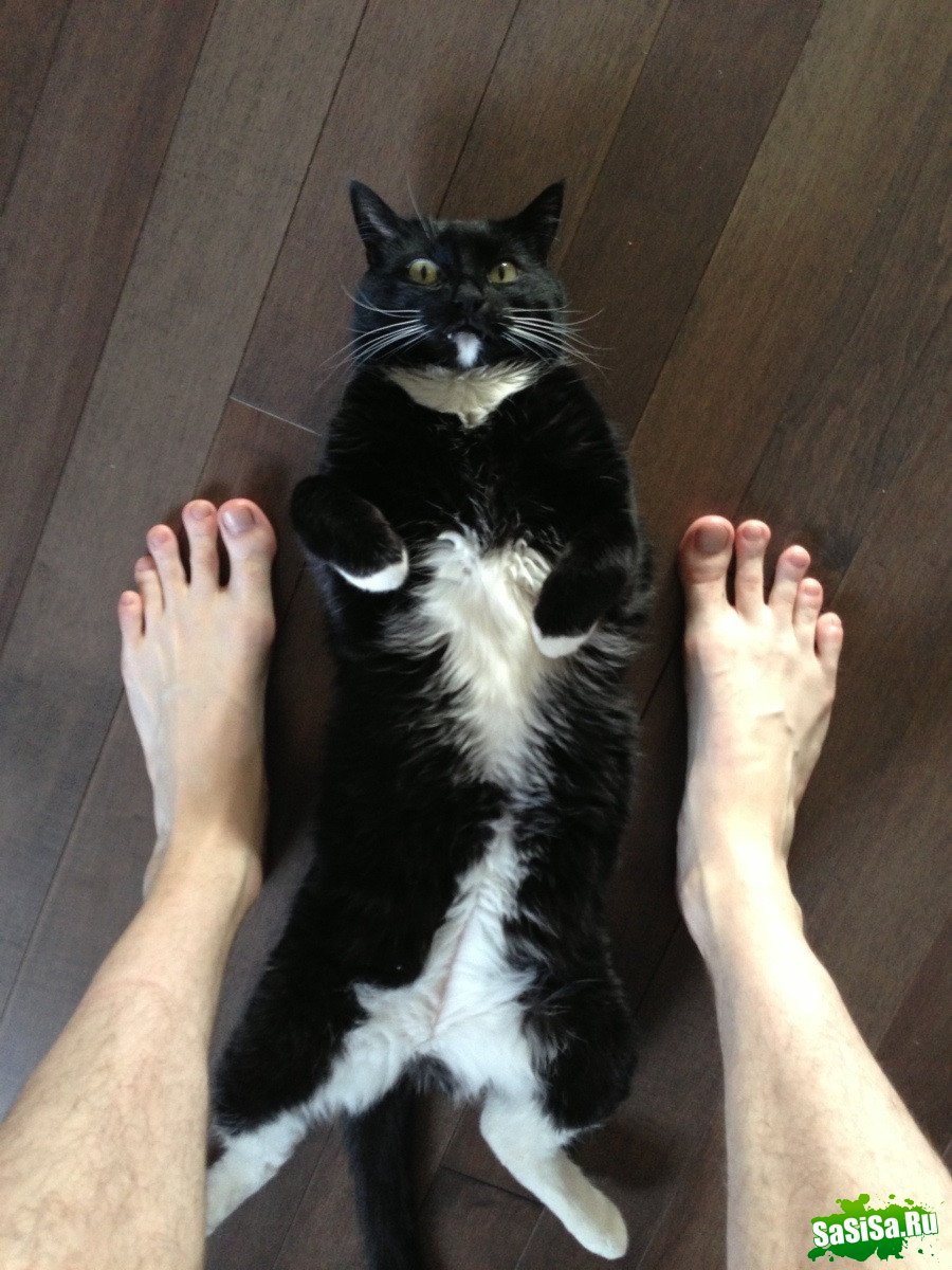  (   )