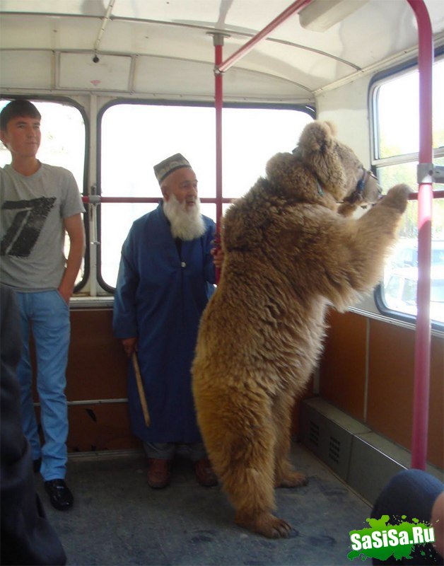 Фотоподборка (дальше в развёрнутом виде)