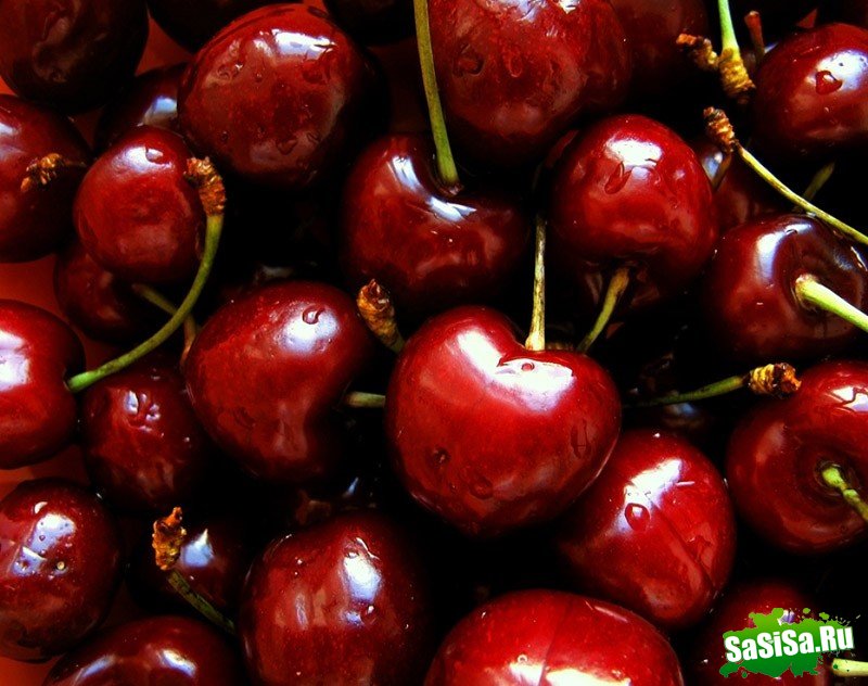 10 ядовитых фруктов и овощей, которые мы едим каждый день (10 фото)