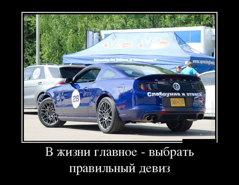 Демотиваторы вторника (29 фото)