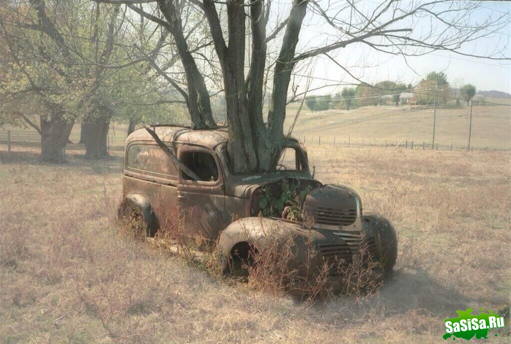 Фотоподборка (дальше в развёрнутом виде)