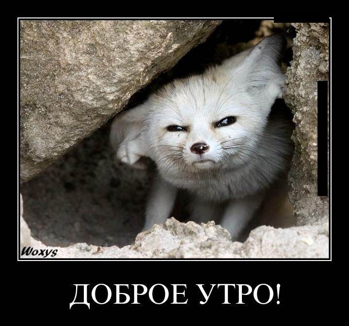 Демотиваторы пятницы (29 фото)