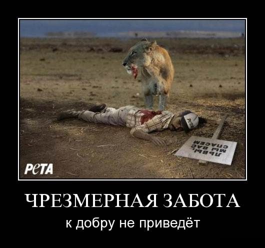 Демотиваторы пятницы (29 фото)