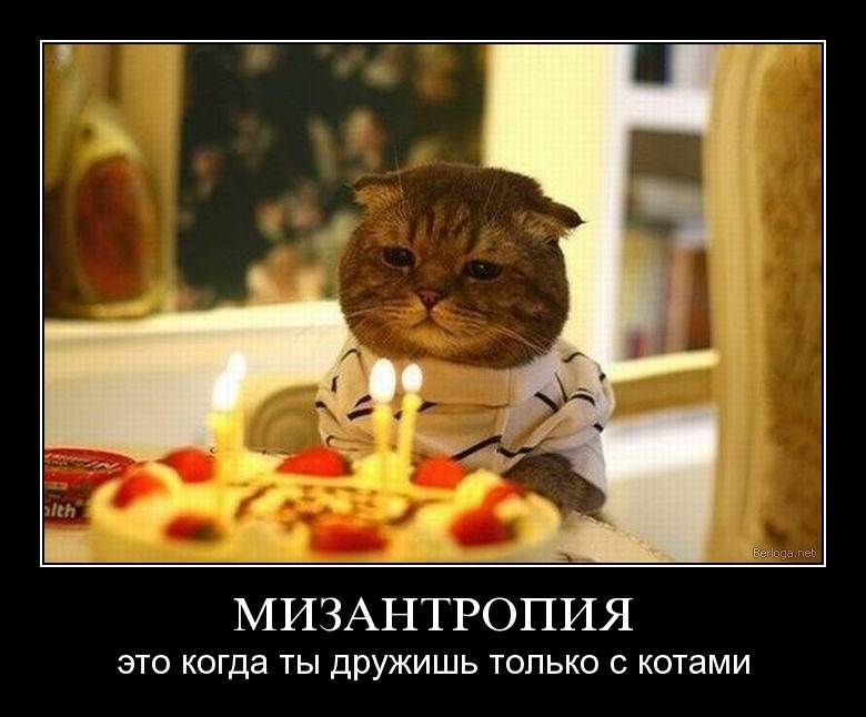 Демотиваторы пятницы (29 фото)