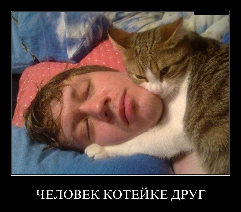 Демотиваторы пятницы (29 фото)