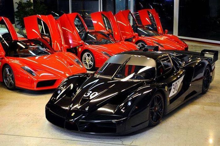 Ferrari Enzo  FXX     (11 )