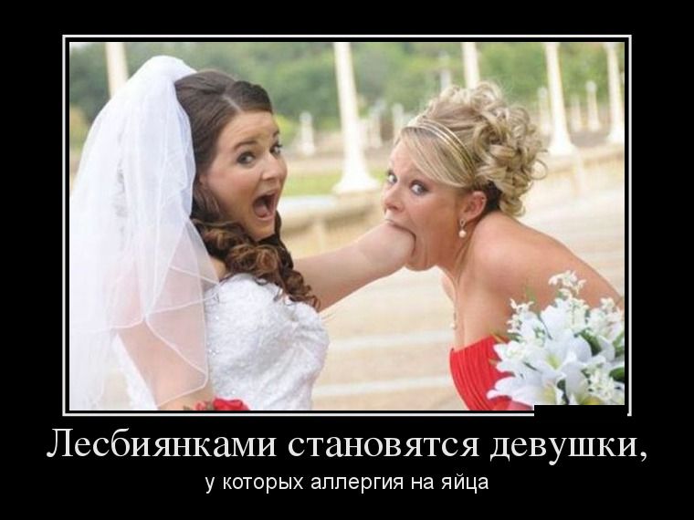 Демотиваторы вторника (26 фото)