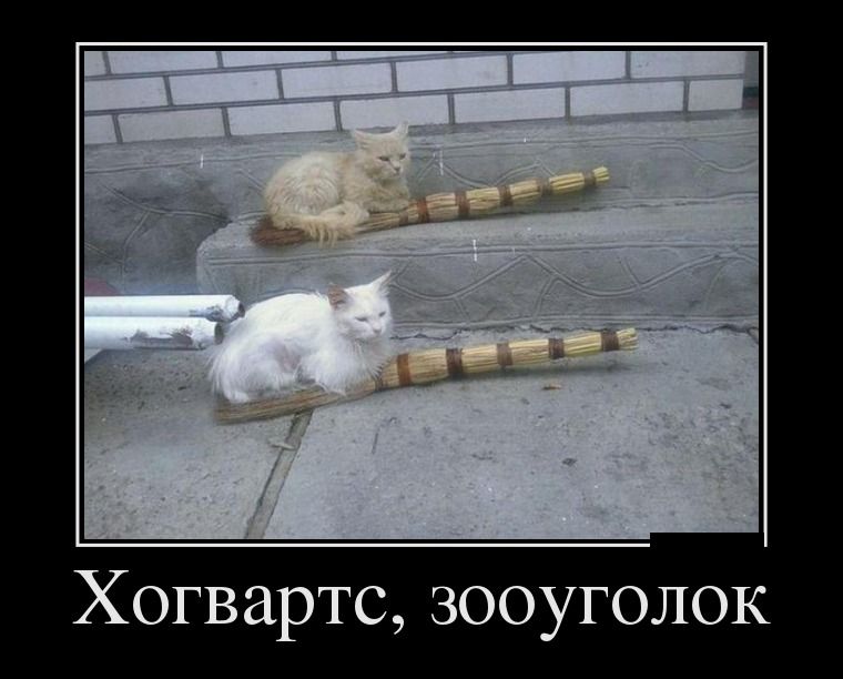 Демотиваторы вторника (26 фото)