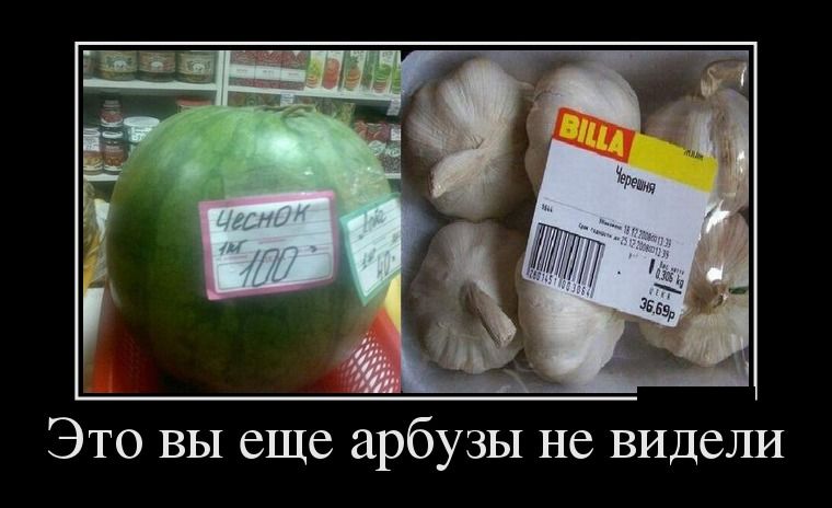 Демотиваторы вторника (26 фото)
