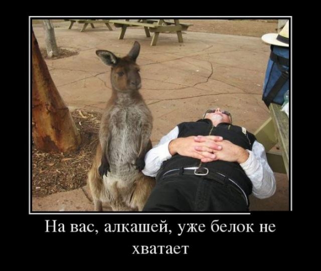 Демотиваторы среды (29 фото)