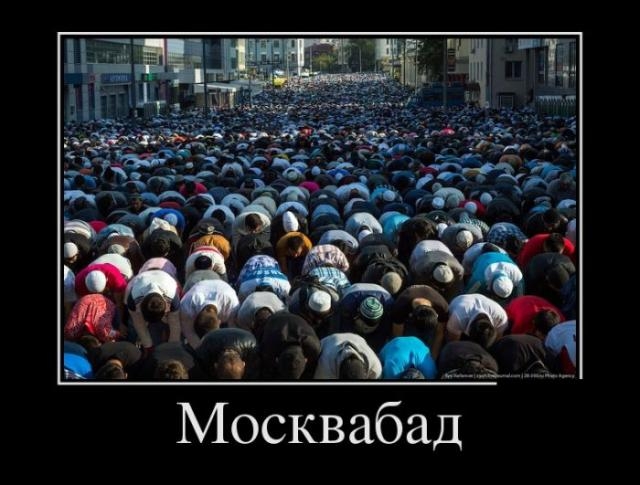 Демотиваторы среды (29 фото)