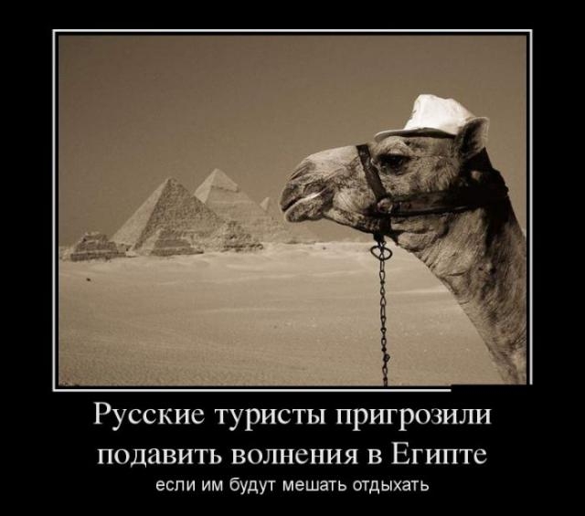 Демотиваторы среды (29 фото)