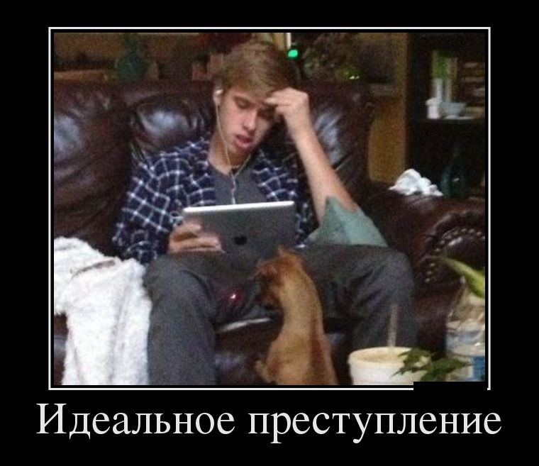 Демотиваторы среды (29 фото)
