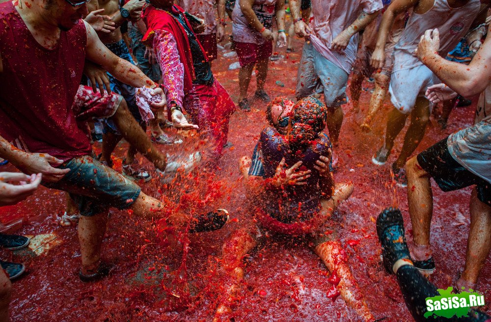   La Tomatina 2013 (13 )